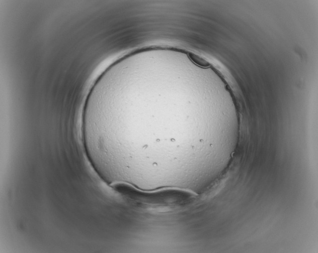 X0000114571199200911091209