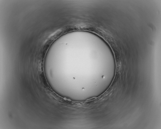 X0000114571205200911091208