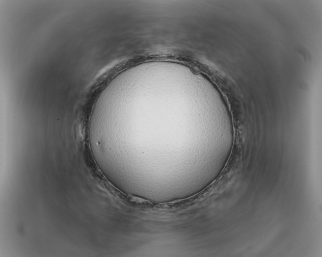 X0000114571206200911091208