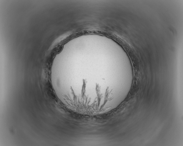 X0000114571207200911091208