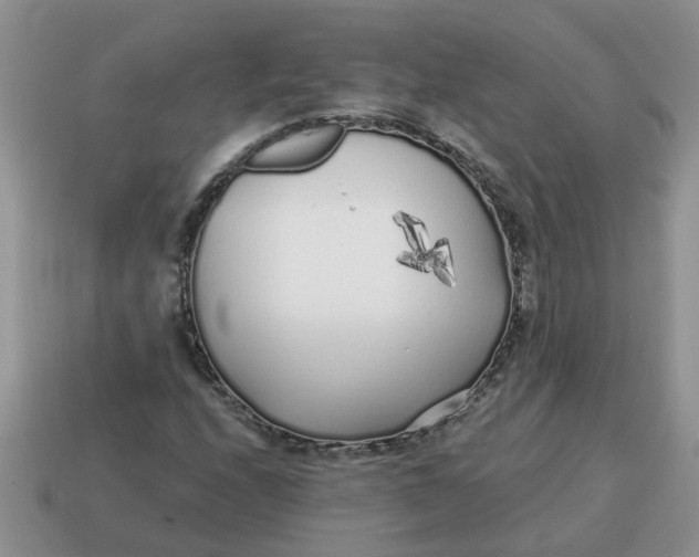 X0000114571208200911091208