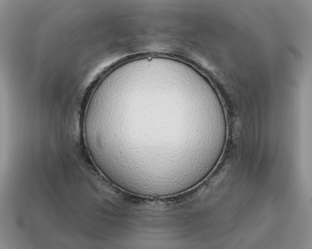 X0000114571214200911091208