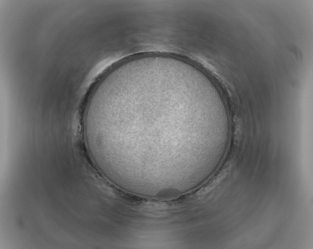 X0000114571215200911091208