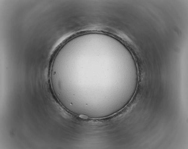 X0000114571216200911091209