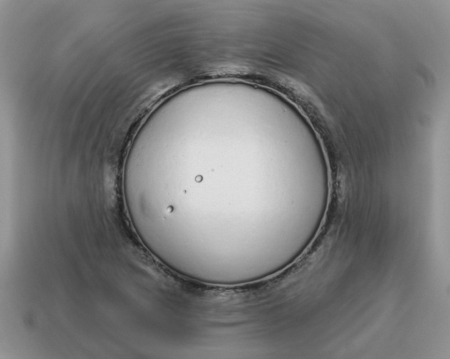 X0000114571217200911091209