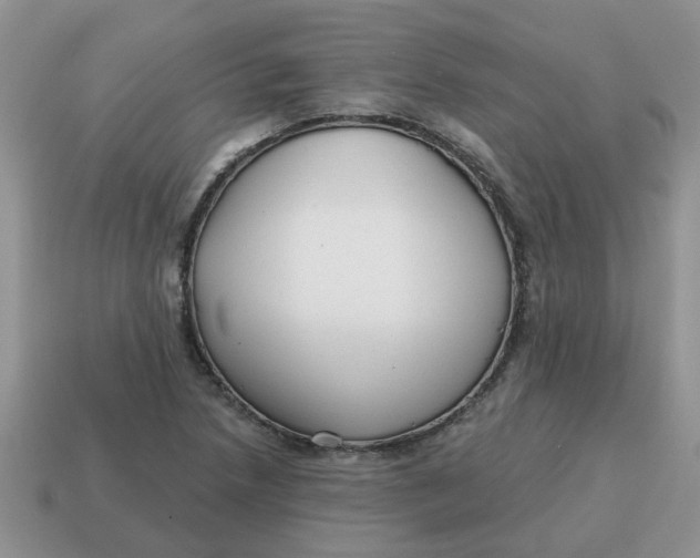 X0000114571218200911091209