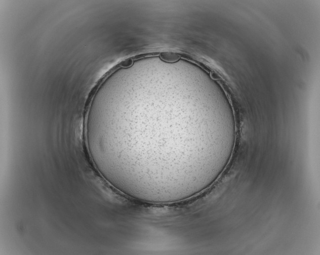 X0000114571220200911091209