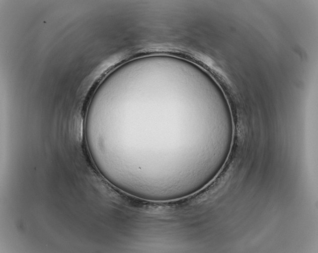 X0000114571221200911091209