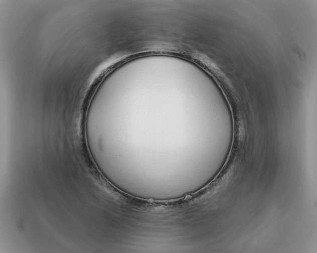 X0000114571222200911091209