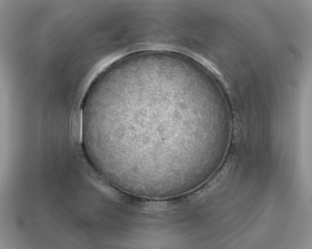 X0000114571223200911091209