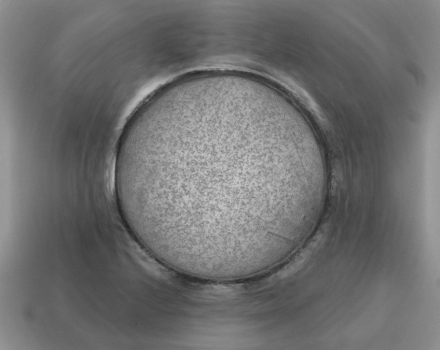 X0000114571224200911091209