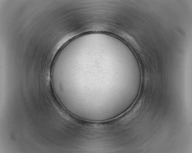 X0000114571226200911091209