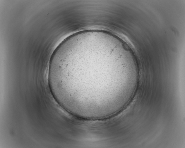 X0000114571228200911091209