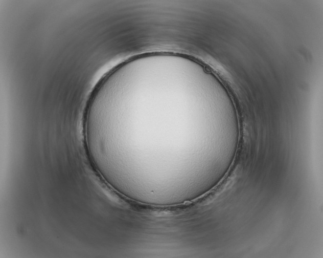 X0000114571230200911091209