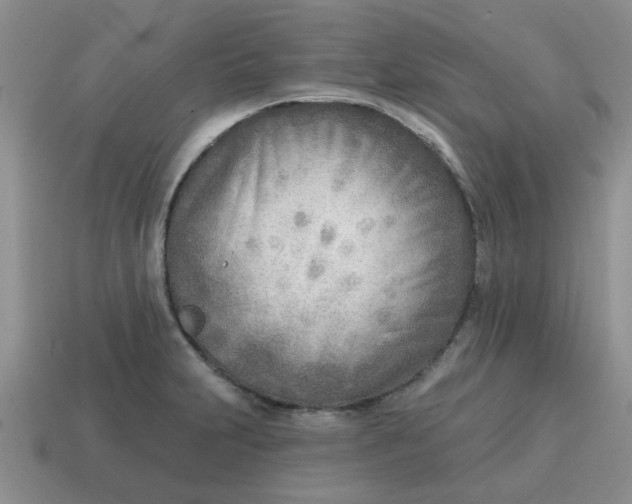 X0000114571231200911091209