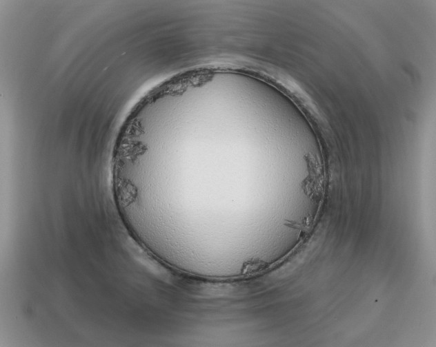 X0000114571232200911091209