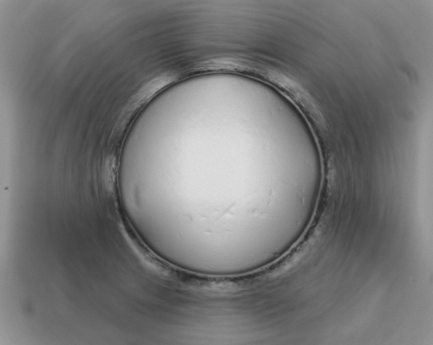 X0000114571233200911091209