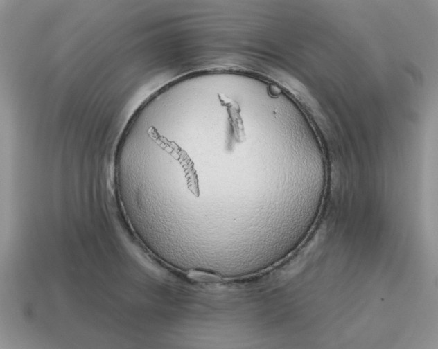 X0000114571234200911091209