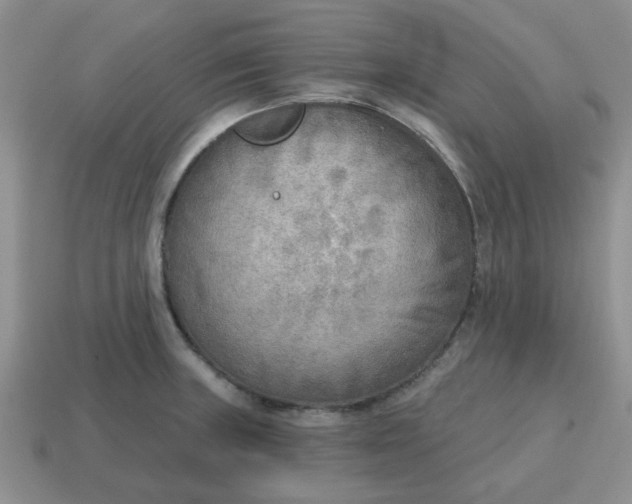 X0000114571235200911091209