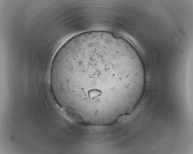 X0000114571236200911091209