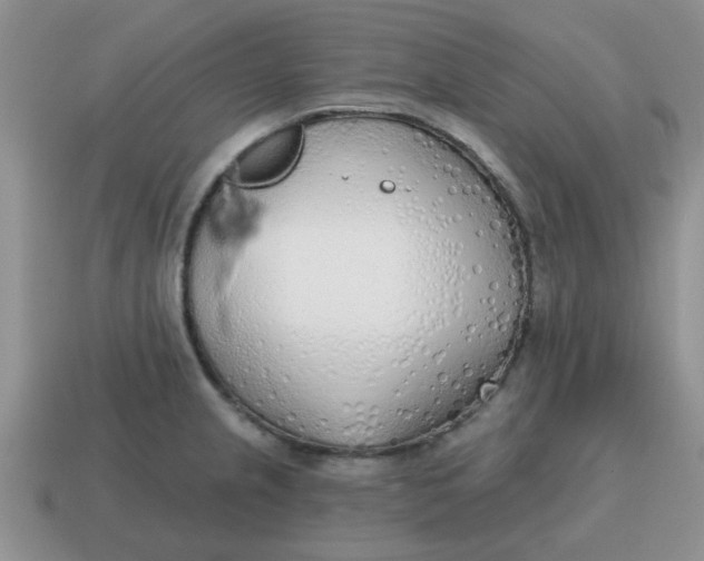 X0000114571237200911091209