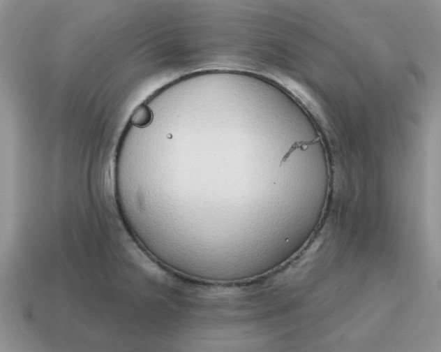 X0000114571238200911091209