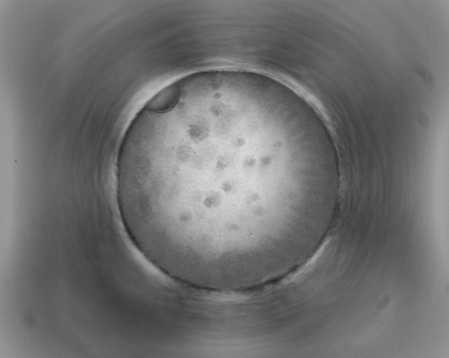 X0000114571239200911091209