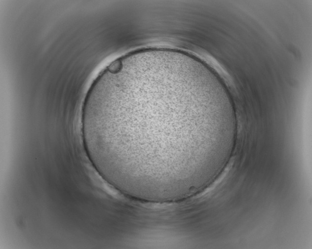 X0000114571240200911091209