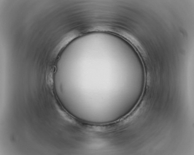 X0000114571241200911091209