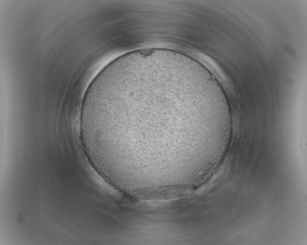 X0000114571244200911091209