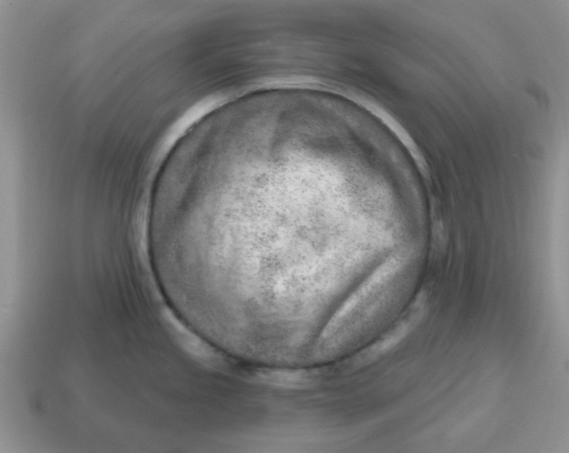 X0000114571245200911091209