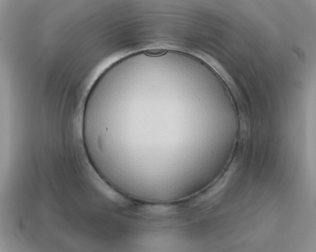 X0000114571246200911091209