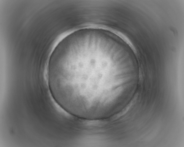 X0000114571247200911091209