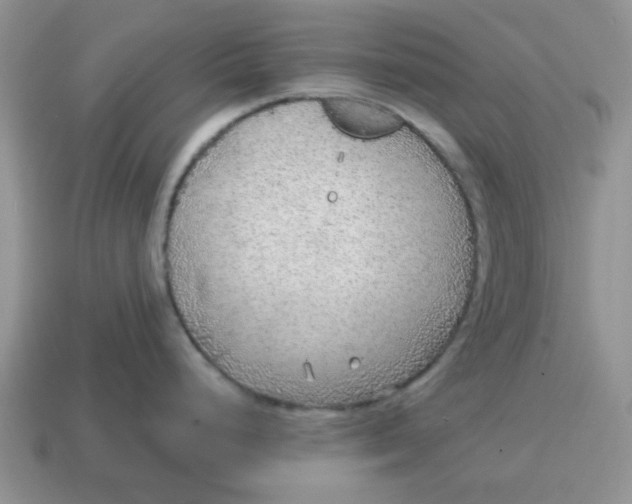 X0000114571248200911091209