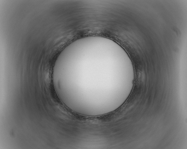 X0000114571250200911091208