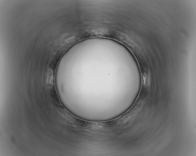 X0000114571251200911091208