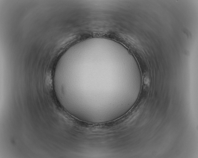 X0000114571252200911091208