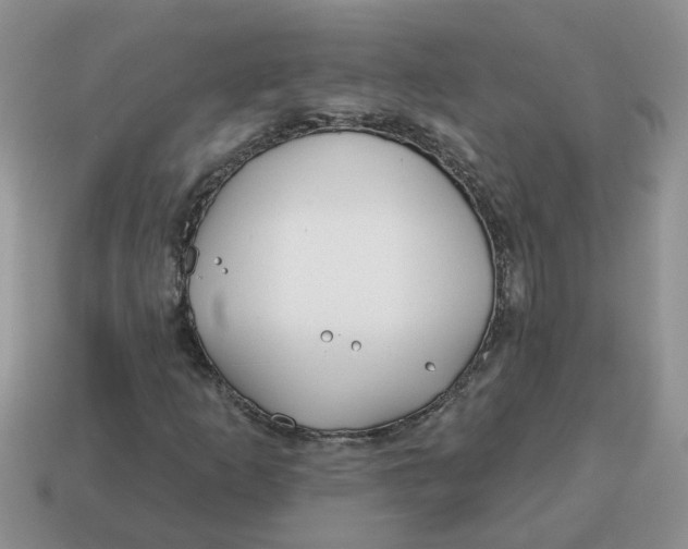 X0000114571253200911091208