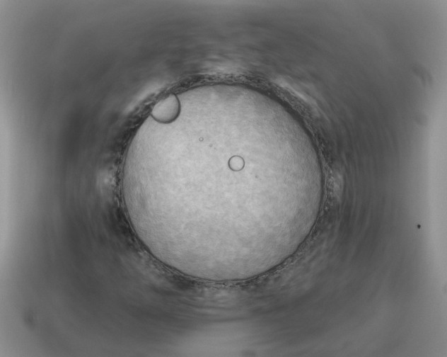 X0000114571254200911091208