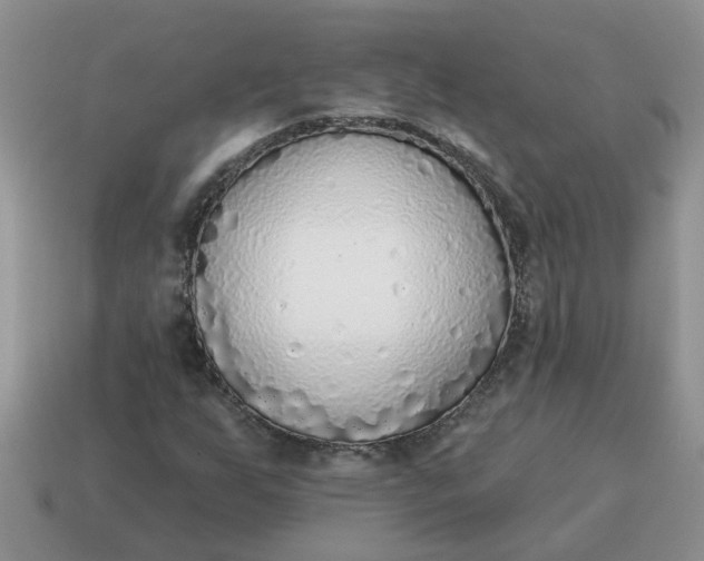 X0000114571255200911091208