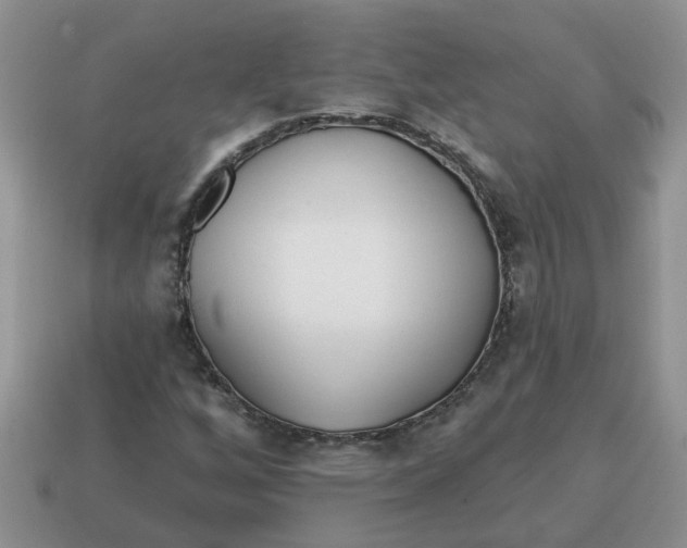 X0000114571256200911091208