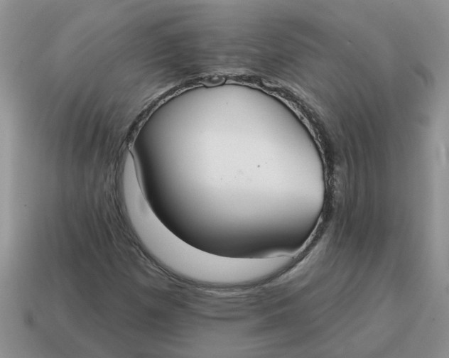 X0000114571257200911091208