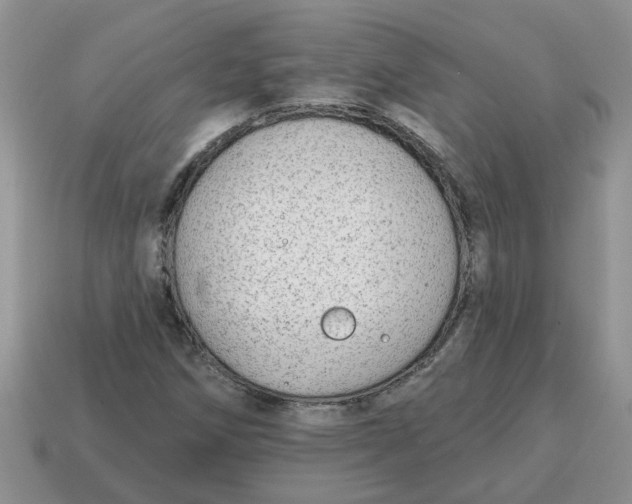 X0000114571258200911091208