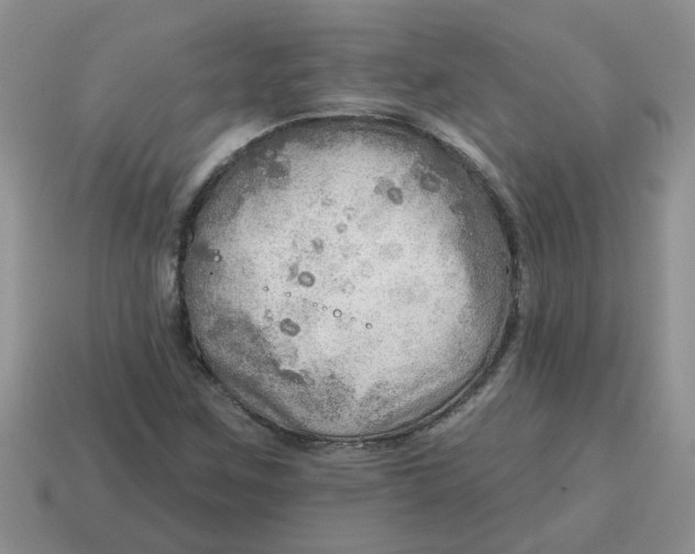 X0000114571259200911091208