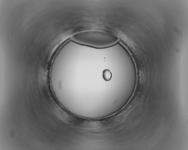 X0000114571260200911091208