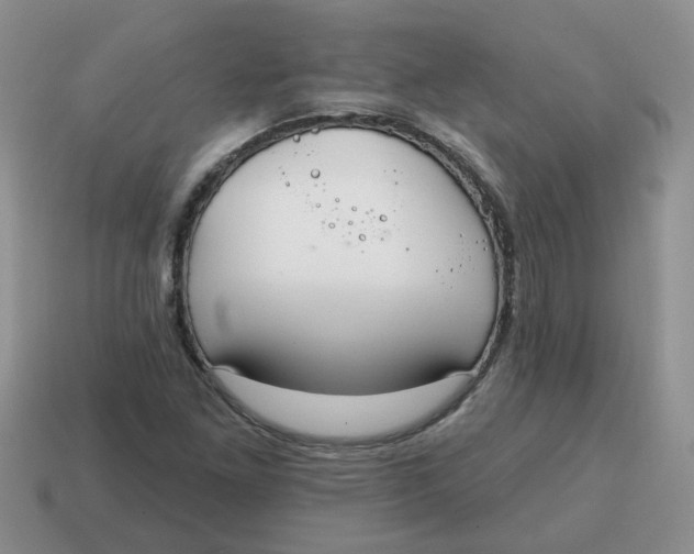 X0000114571261200911091208