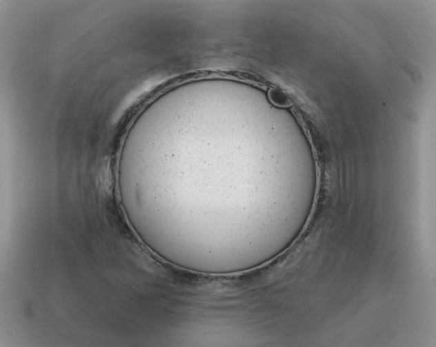 X0000114571262200911091208