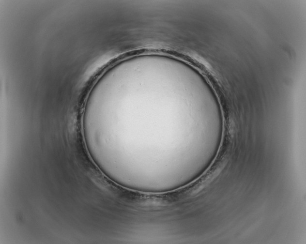 X0000114571263200911091208