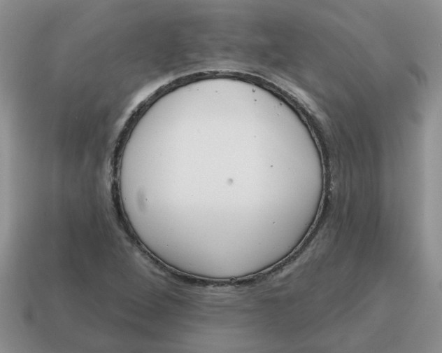 X0000114571264200911091208