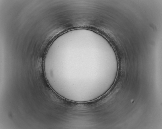 X0000114571265200911091208